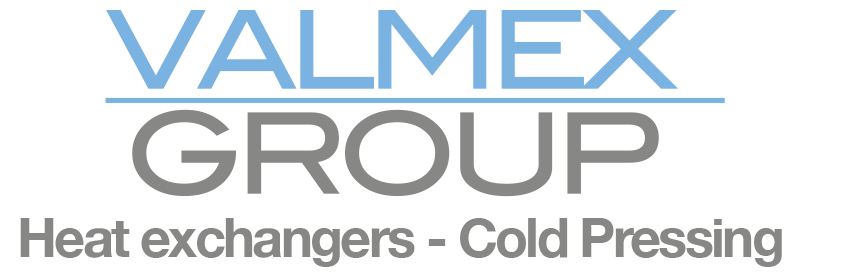 Logo_Valmex